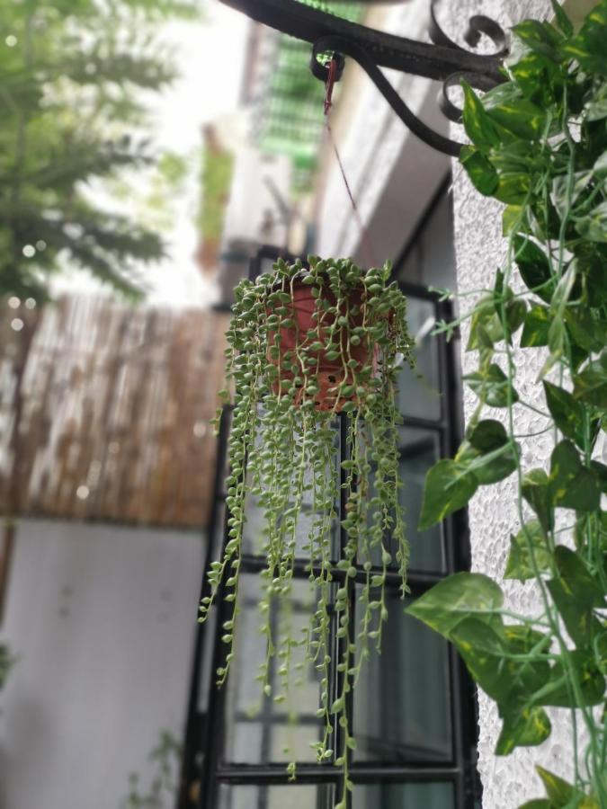 林人酒店 Jingan Dış mekan fotoğraf